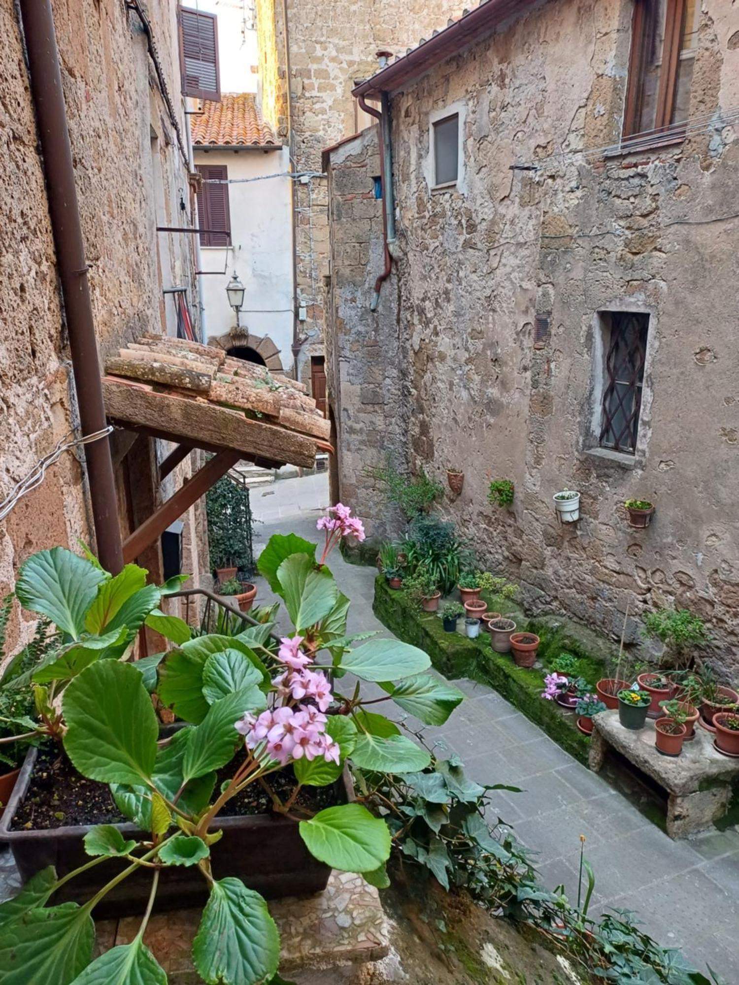 Ferienwohnung Casa Il Girasole Pitigliano Exterior foto